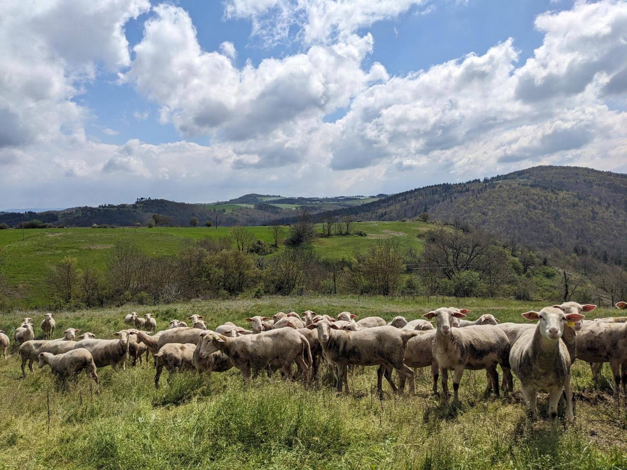 La Grange, Le Hameau Des Volcans - Deconnexion Face A La Vue Saint-Just-pres-Brioude Exteriér fotografie